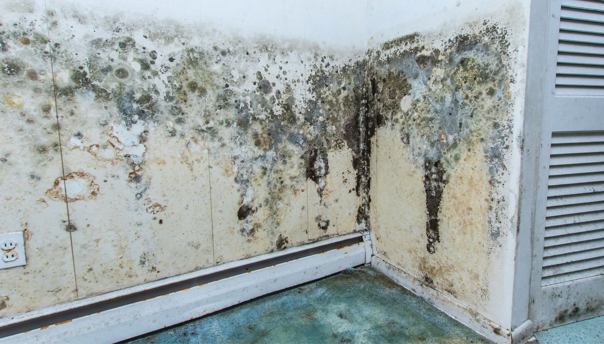 Professional mold removal, odor control, and water damage restoration service in Chesapeake, Virginia.
