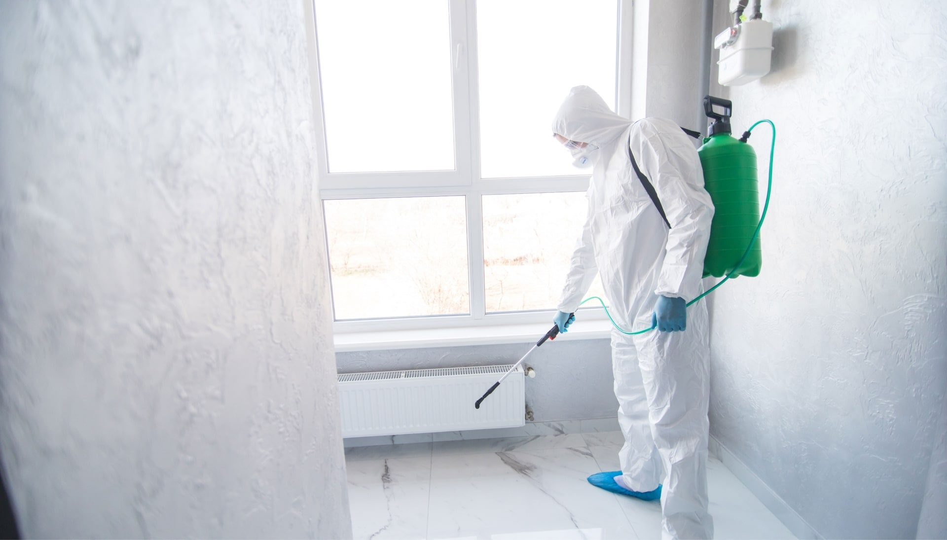We provide the highest-quality mold inspection, testing, and removal services in the Chesapeake, Virginia area.